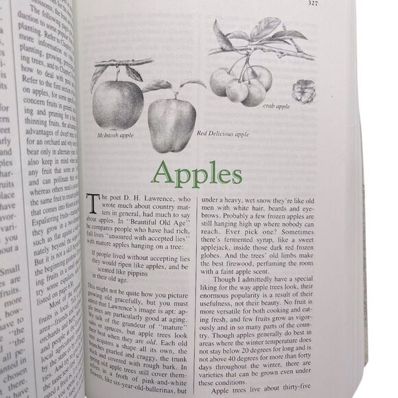 The Garden Primer, Barbara Damrosch - Picture 8 of 9